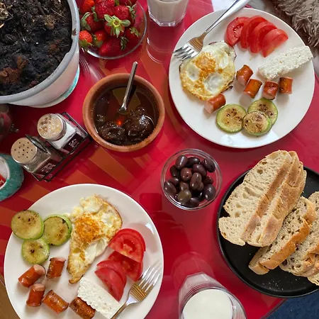 Maison D'artiste Hostel